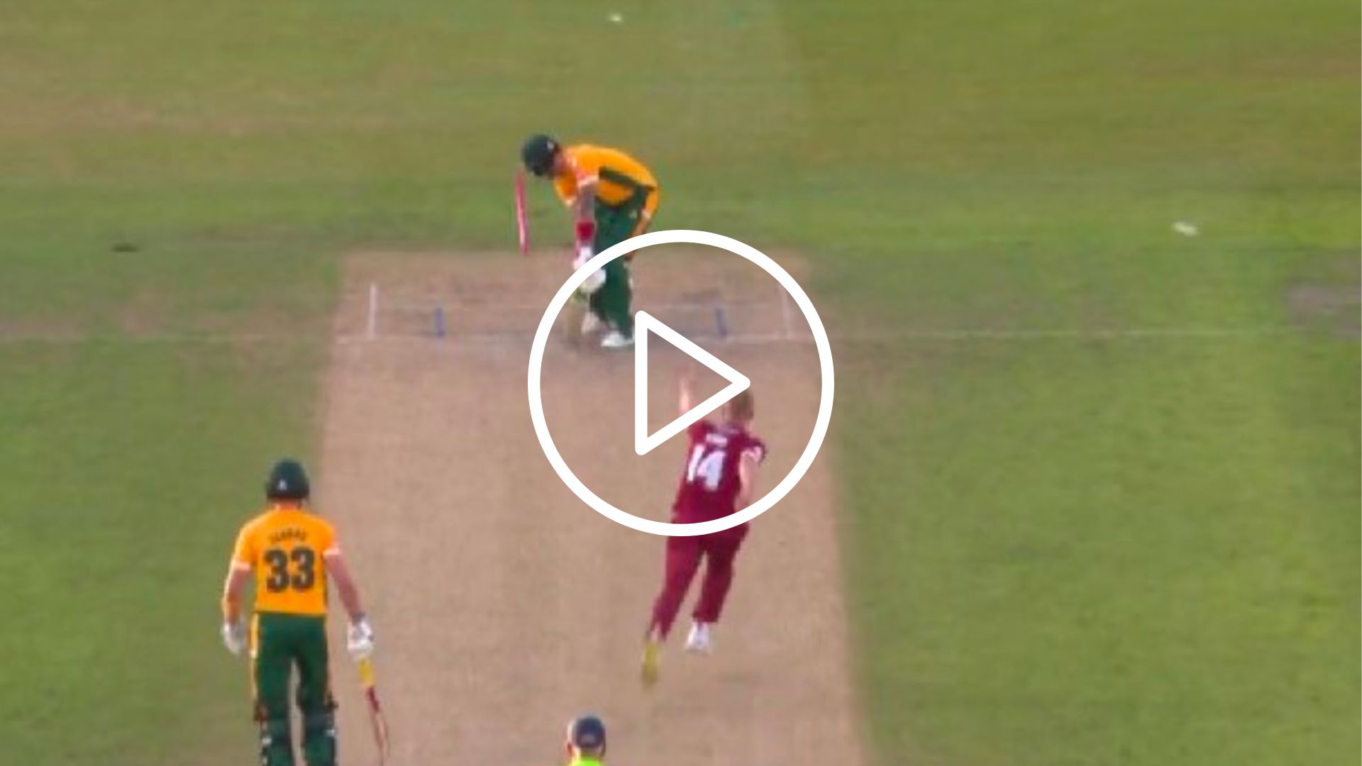 WATCH: Luke Wood's Spectacular Yorker Shatters Alex Hales' Stumps